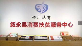 消費扶貧助力脫貧攻堅 勞務(wù)服務(wù)的創(chuàng)新路徑與深遠(yuǎn)影響